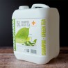 Shampoing green tea 5 litres