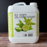 Sense Shampoing Verveine en bidon de 5 litres